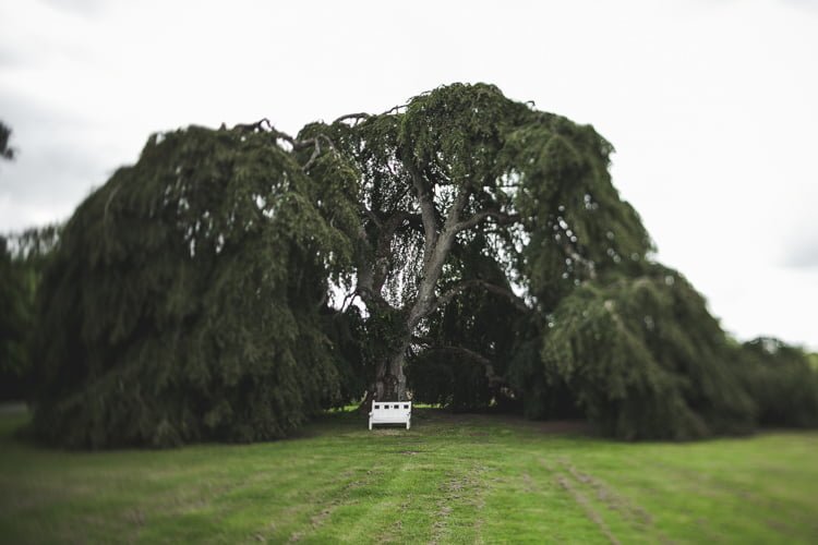 Ireland Wedding Photographer